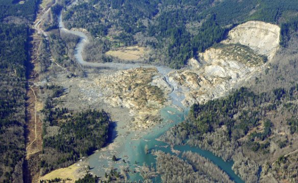 Picture of Oso Landslide